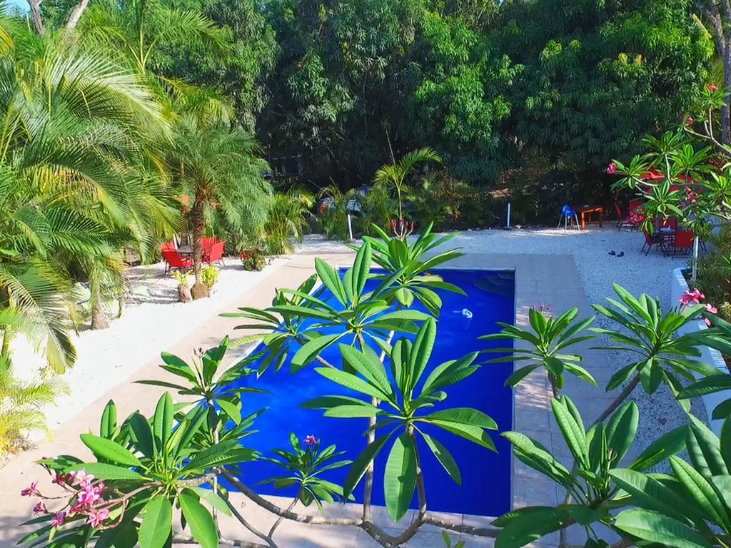 Villa Blanconejo De Montezuma Exterior foto